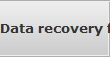 Data recovery for Livonia data